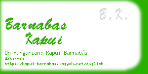 barnabas kapui business card